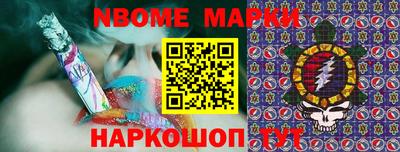 индика Гатчина