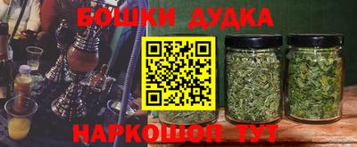 крисы Гусев