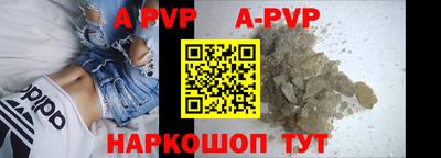 индика Гатчина